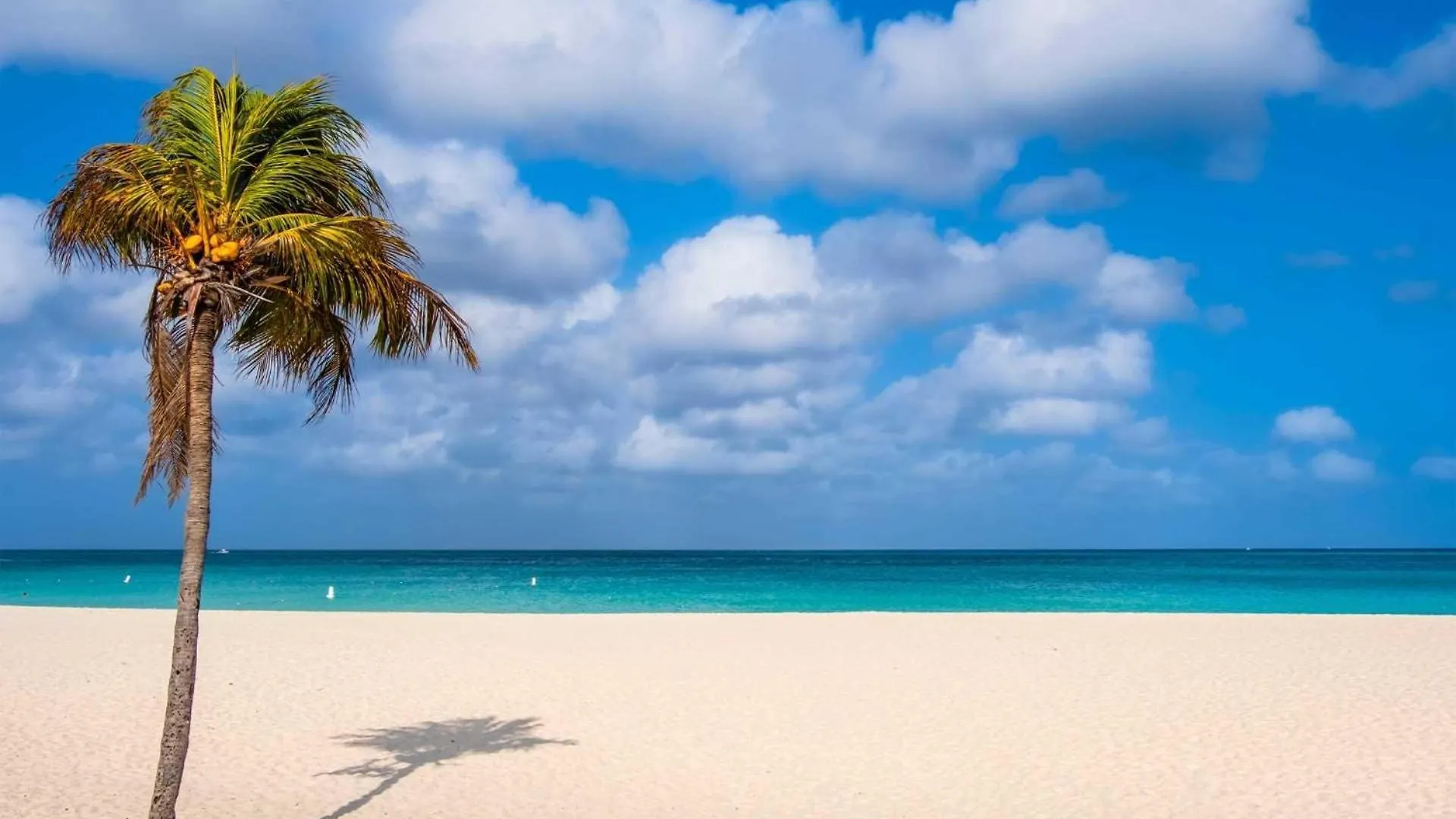 Casa vacanze Eagle Beach - Palm By The Sea 2Br Condo - Lv207 Palm Beach