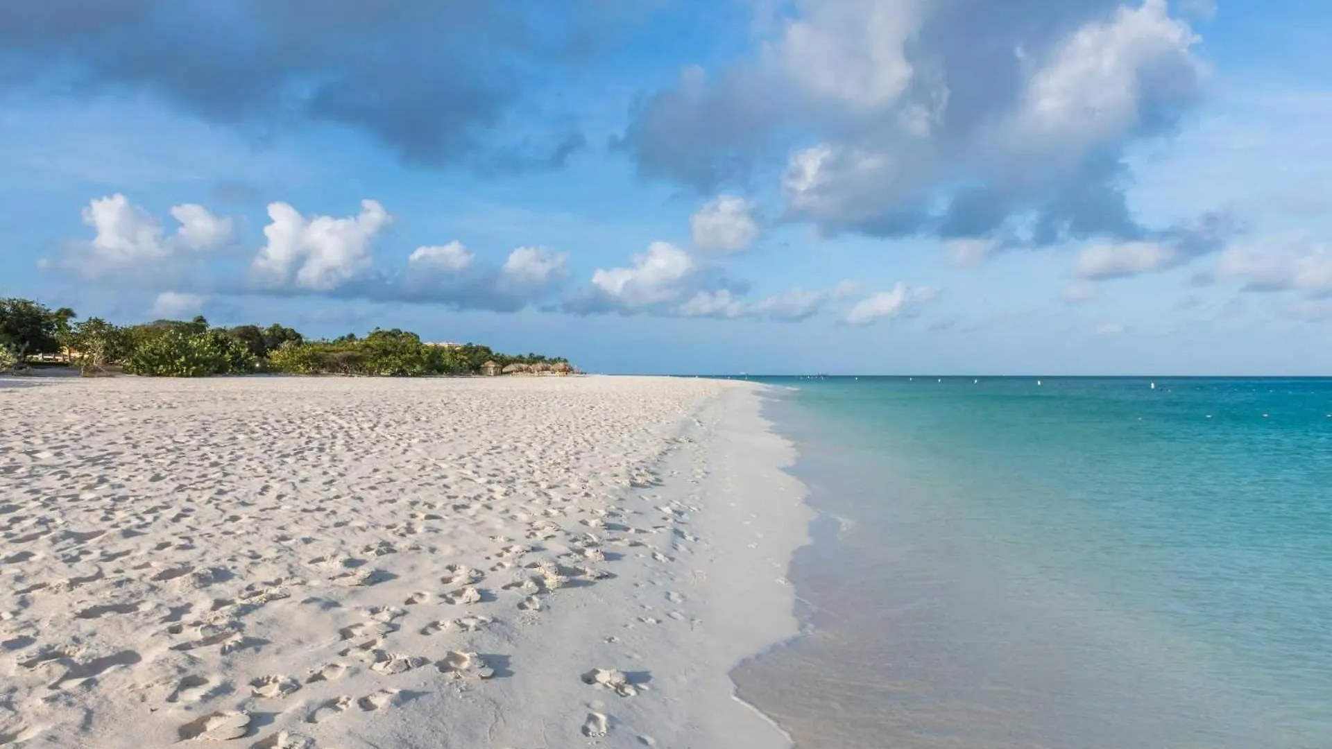 Eagle Beach - Palm By The Sea 2Br Condo - Lv207 Palm Beach 0*,