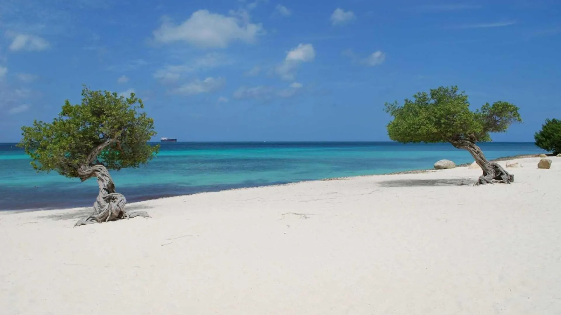 Eagle Beach - Palm By The Sea 2Br Condo - Lv207 Palm Beach Casa vacanze