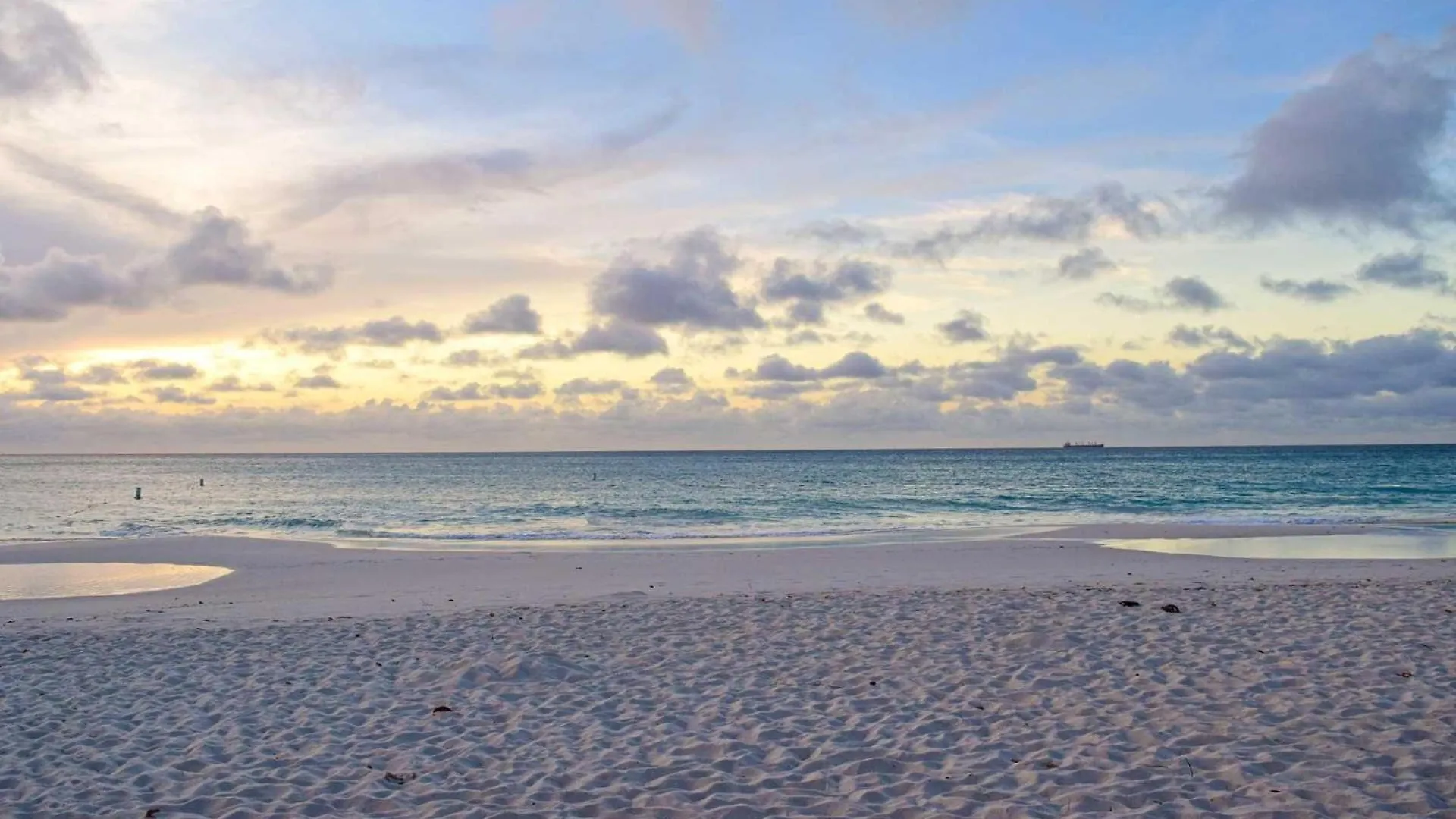 Eagle Beach - Palm By The Sea 2Br Condo - Lv207 Palm Beach Casa vacanze