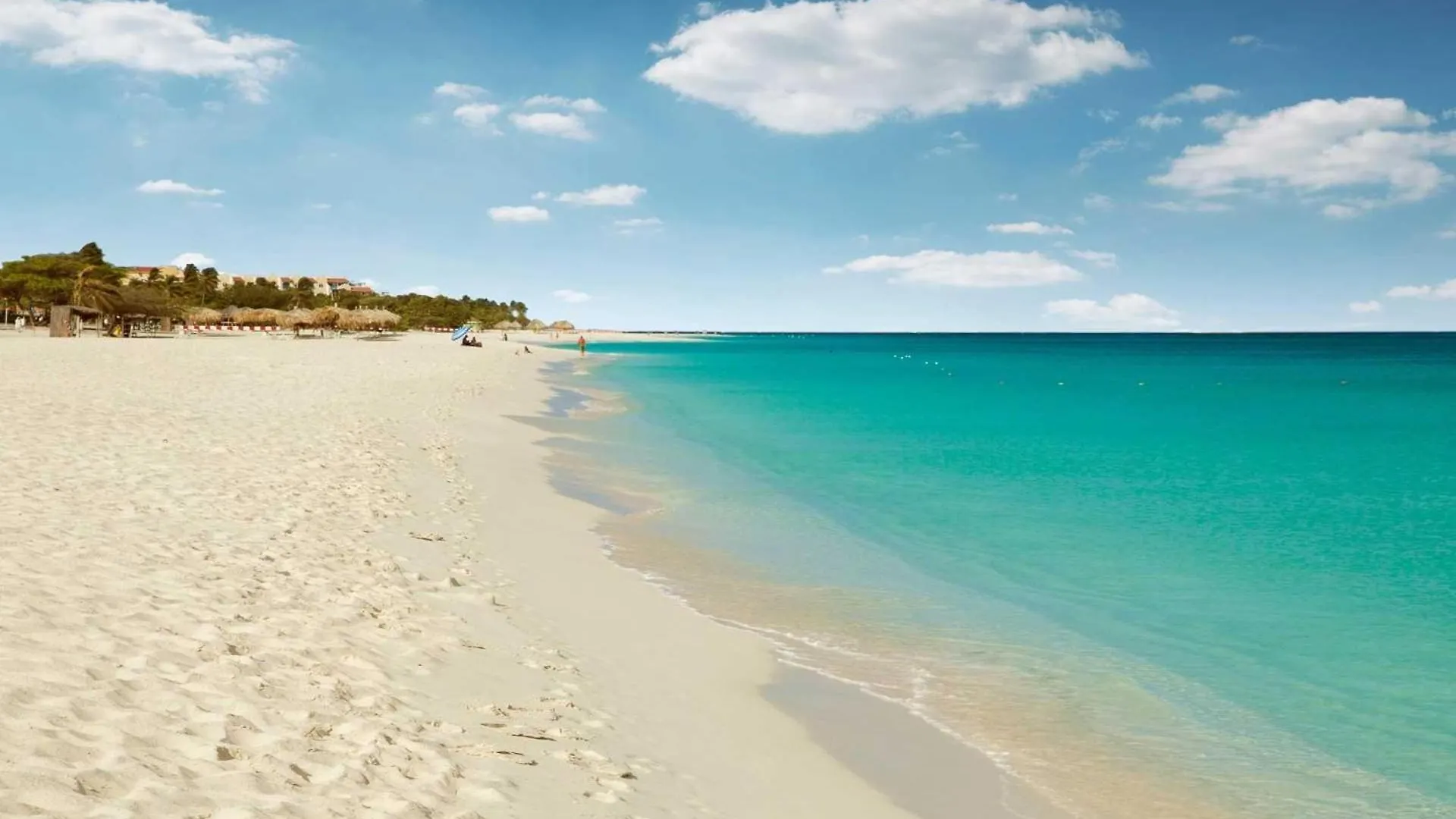 Eagle Beach - Palm By The Sea 2Br Condo - Lv207 팜비치 0*,  아루바
